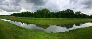 Rain is Approaching