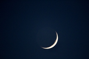 Early June Moon