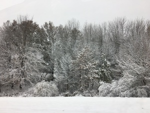 First snow of 2019